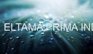 Hubungi Jasa Water Blasting Bergaransi di Eltama Kini!
